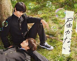 中文字幕AV无码一区二区三区